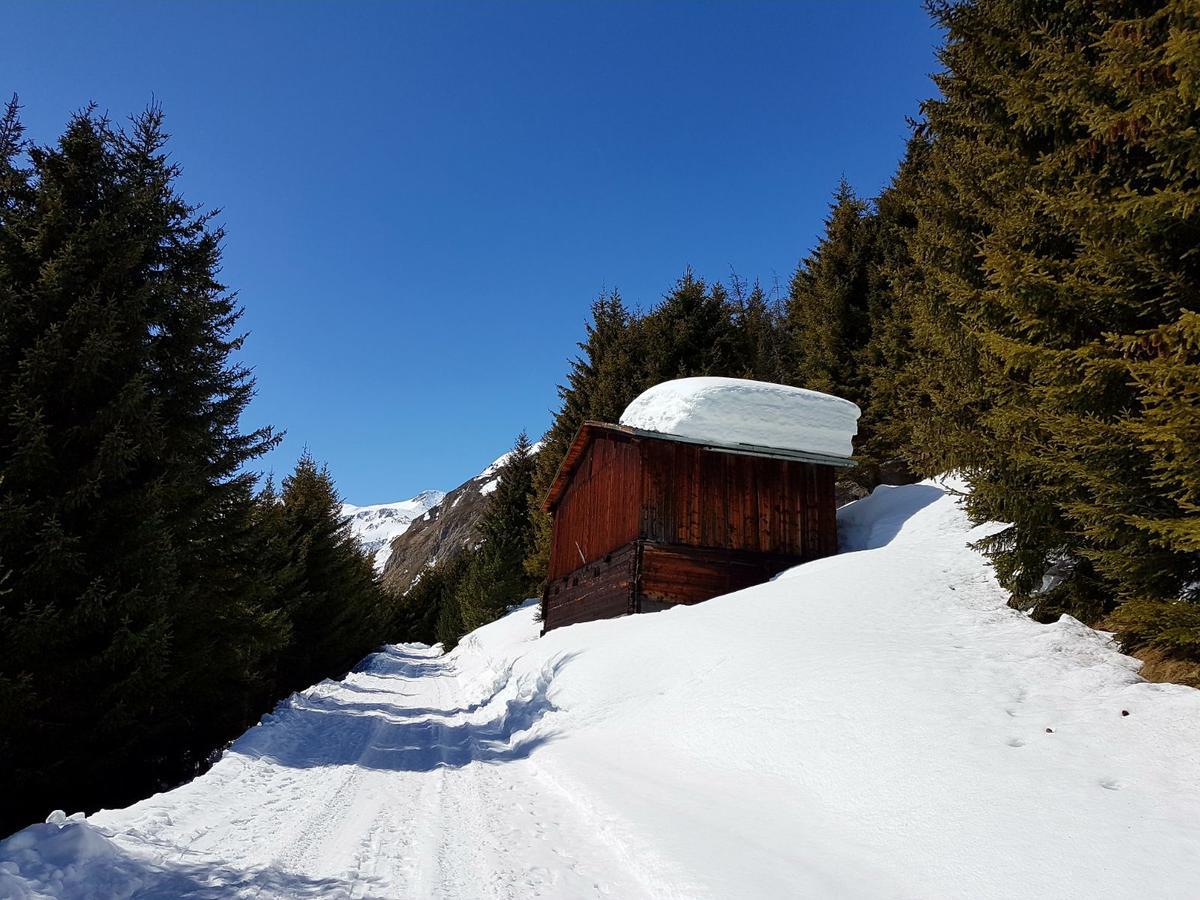Mountain Lodge Sedrun Zewnętrze zdjęcie
